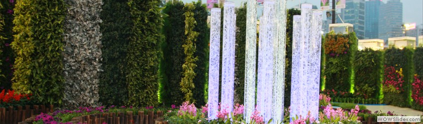 Hong Kong Flower Show 2012